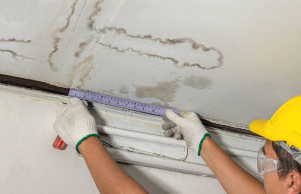 Reliable Water Damage contractor in Raritan, NJ by Water Damage Irwin